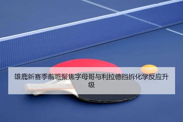 雄鹿新赛季前瞻聚焦字母哥与利拉德挡拆化学反应升级（kaiyun）